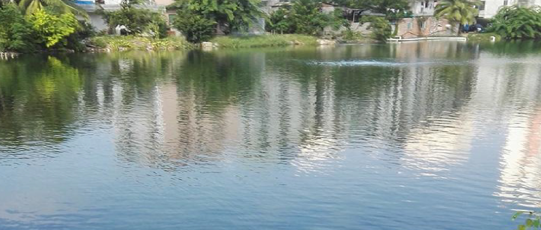 2023黑臭水體整治新動(dòng)作不斷！問題到底怎么破？