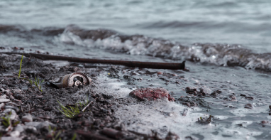 103條黑臭水體！江蘇2024年全省農村環(huán)境整治工作計劃！